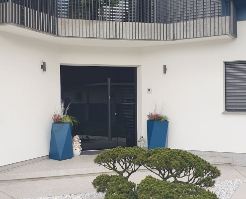 Vhodna vrata s steklom