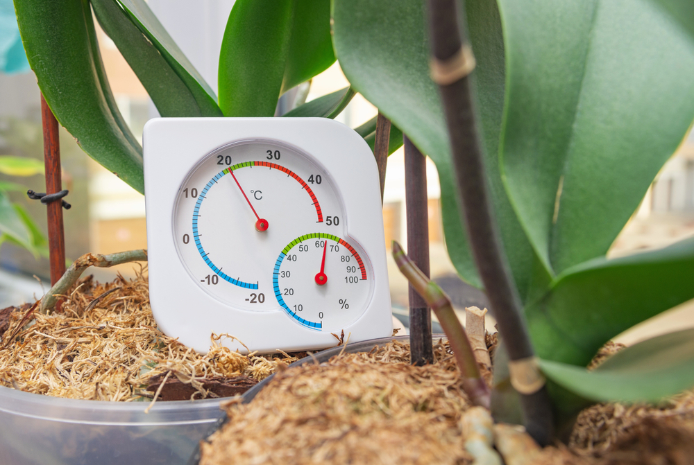 Merilnik vlažnosti in temperature za dom, ki se nahaja v eni izmed sobnih rastlin.